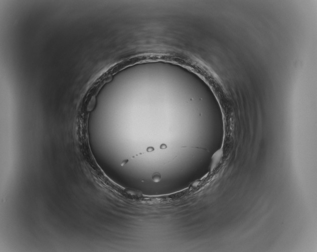 X0000114191352200910161156