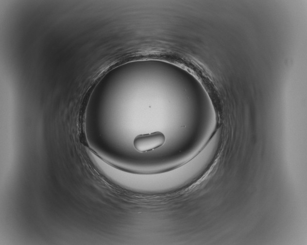 X0000114191353200910161156