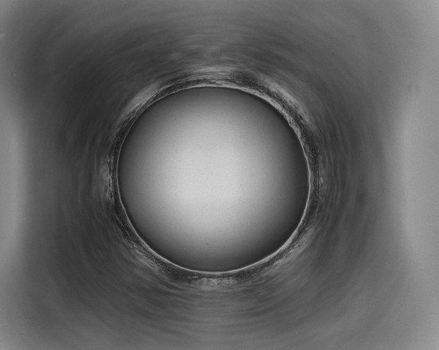 X0000114191354200910161156