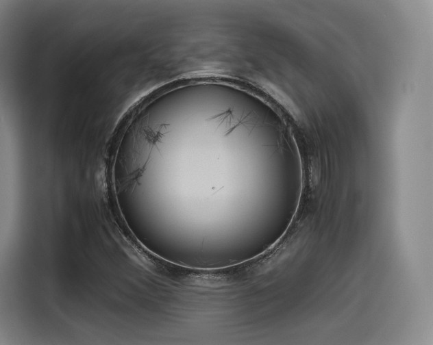 X0000114191356200910161155