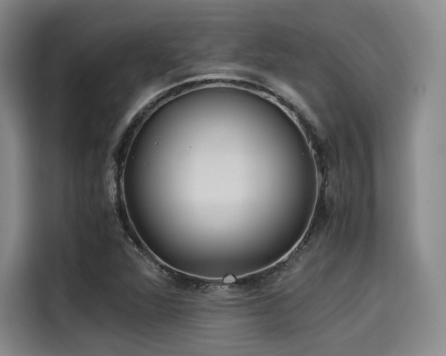 X0000114191360200910161155