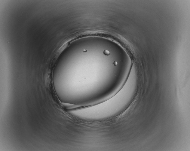 X0000114191361200910161155
