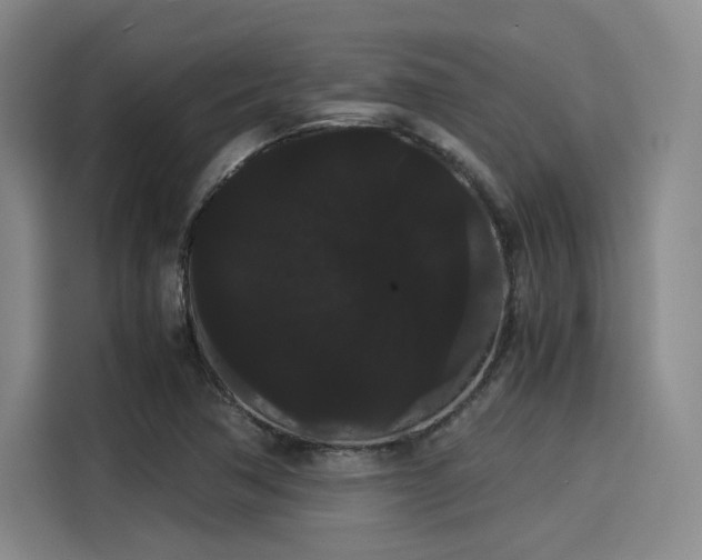 X0000114191362200910161155
