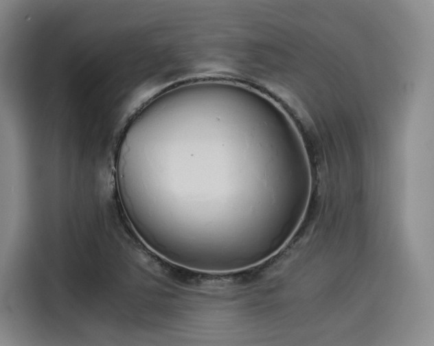 X0000114191363200910161155