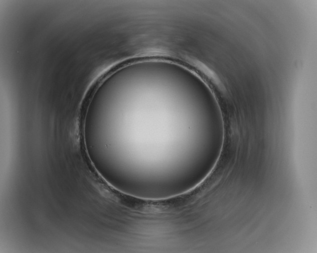 X0000114191364200910161155