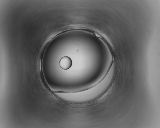 X0000114191365200910161155