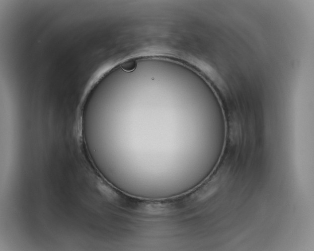 X0000114191366200910161155