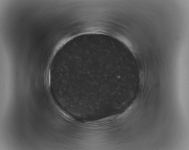 X0000114191371200910161155