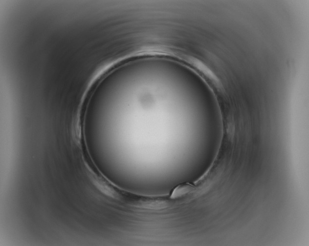 X0000114191372200910161155