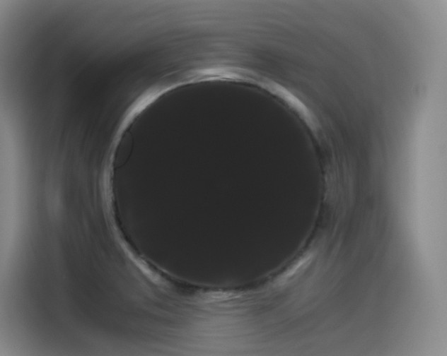 X0000114191373200910161155