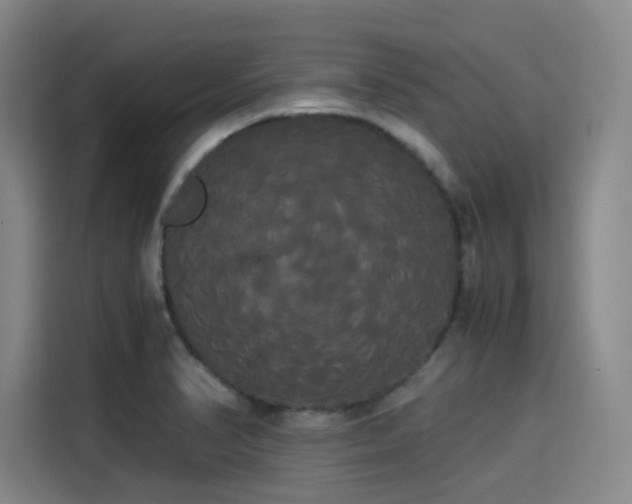 X0000114191374200910161155