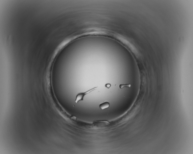 X0000114191375200910161155
