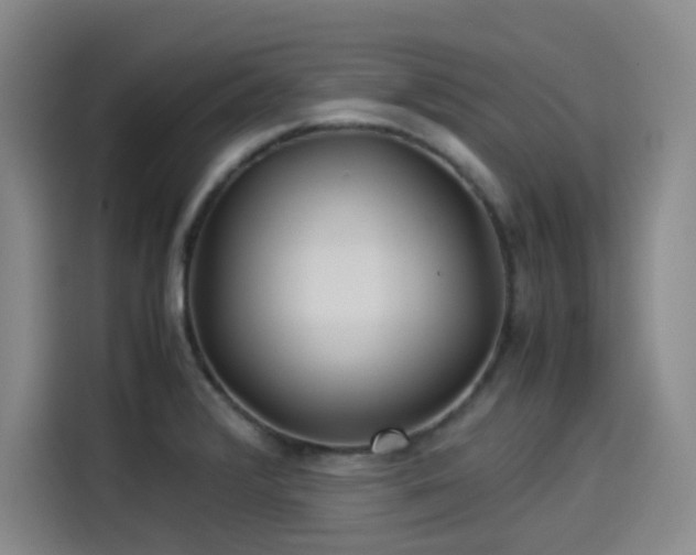 X0000114191376200910161155
