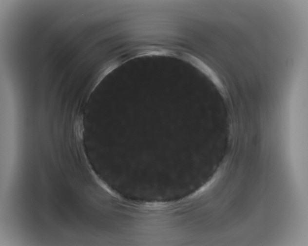 X0000114191377200910161155