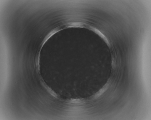 X0000114191378200910161155
