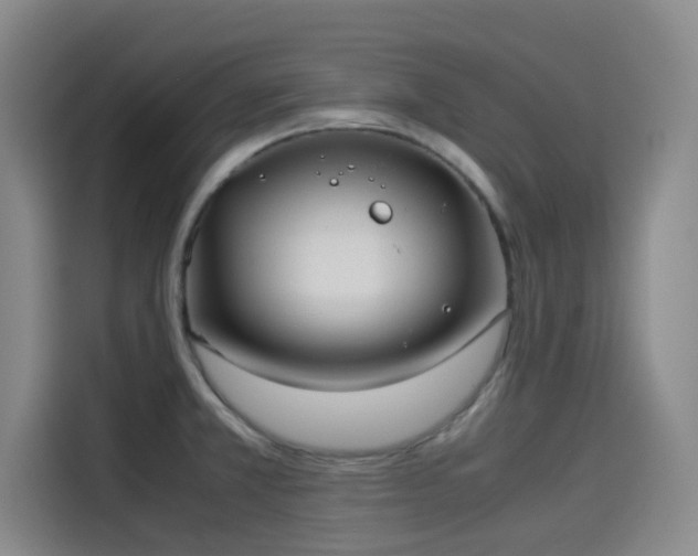 X0000114191381200910161155