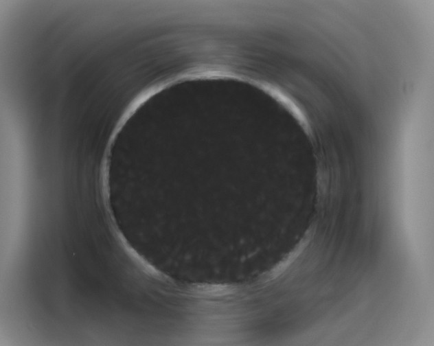 X0000114191382200910161155