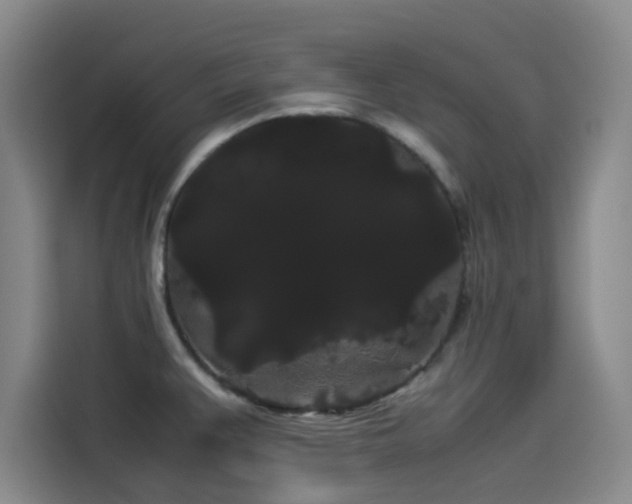 X0000114191383200910161155