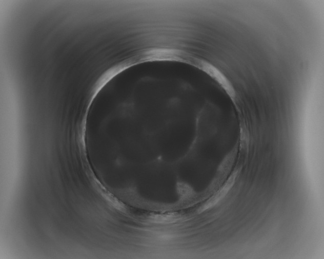 X0000114191386200910161155