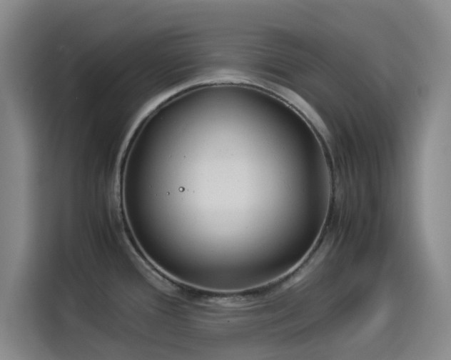 X0000114191388200910161155