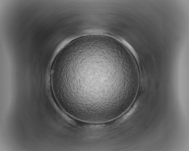 X0000114191389200910161155