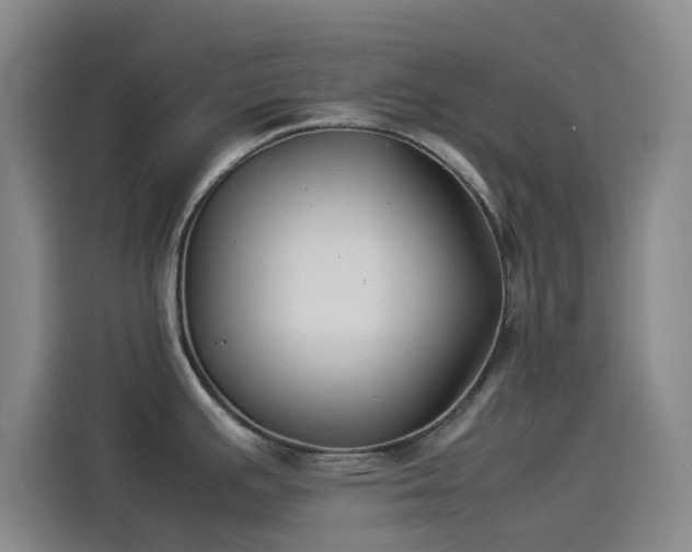 X0000114191391200910161155