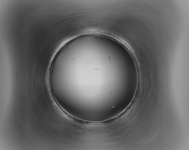 X0000114191392200910161155