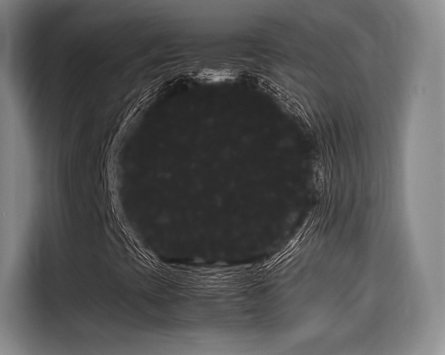X0000114191393200910161154