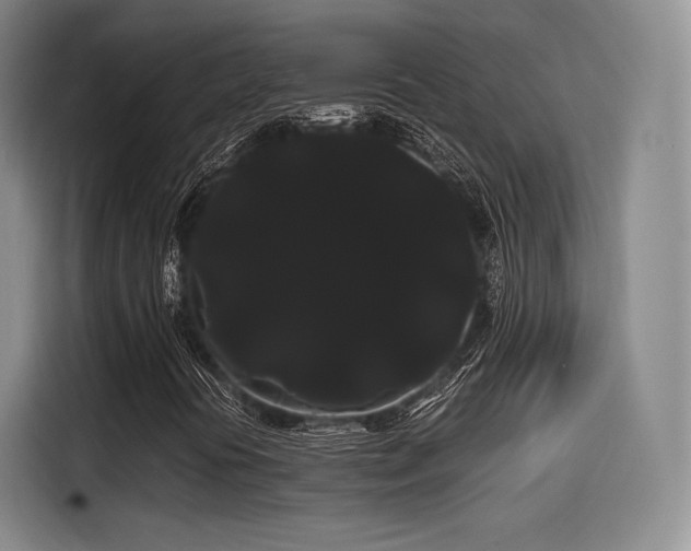 X0000114191394200910161154