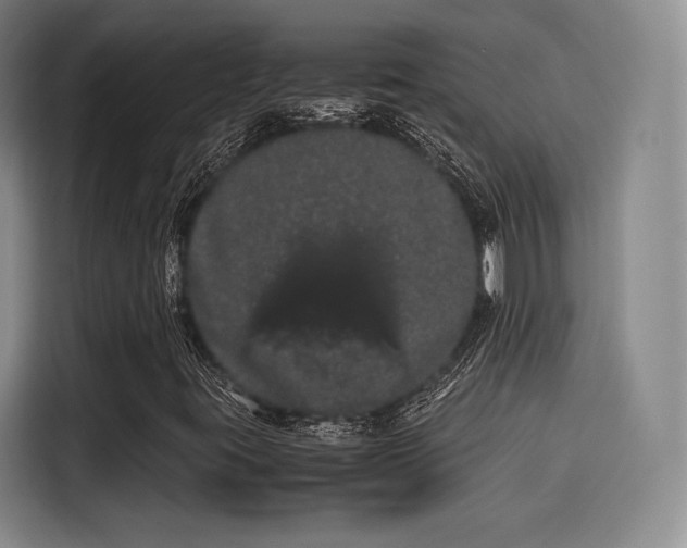 X0000114191395200910161154