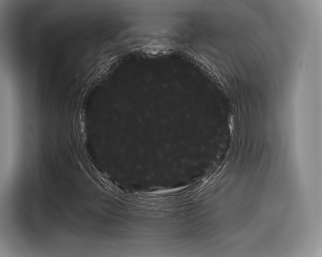 X0000114191396200910161154