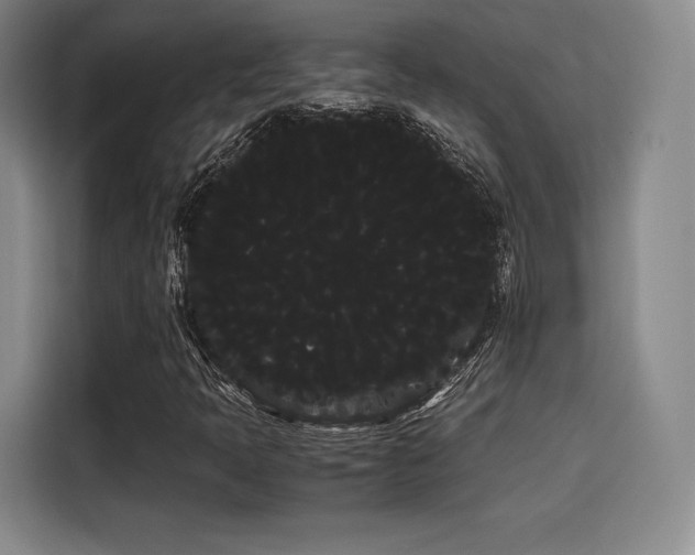 X0000114191397200910161154