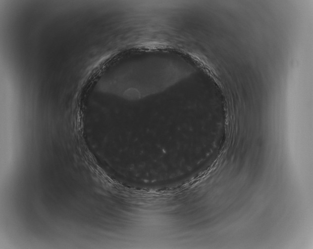 X0000114191398200910161154