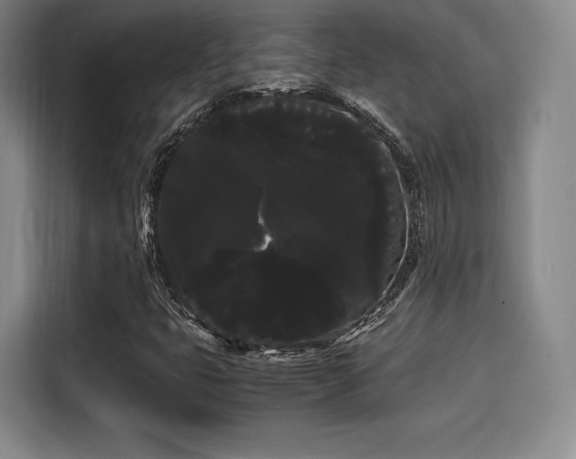 X0000114191399200910161154