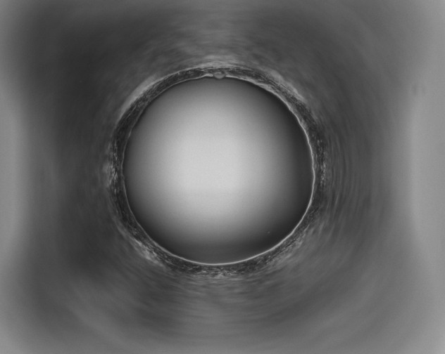 X0000114191400200910161154
