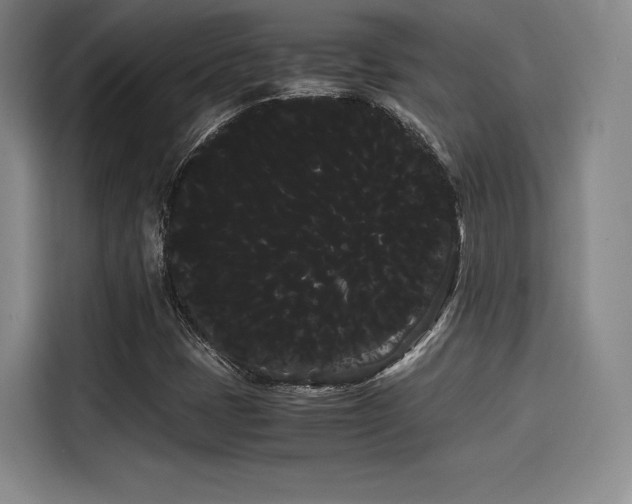 X0000114191401200910161155