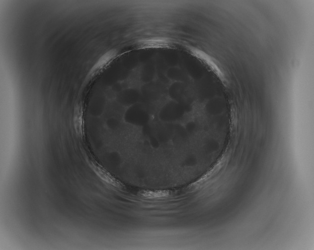 X0000114191403200910161155