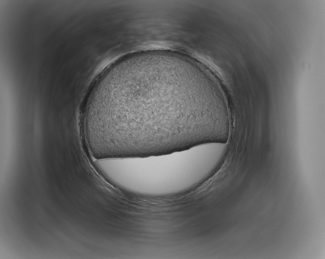 X0000114191404200910161155