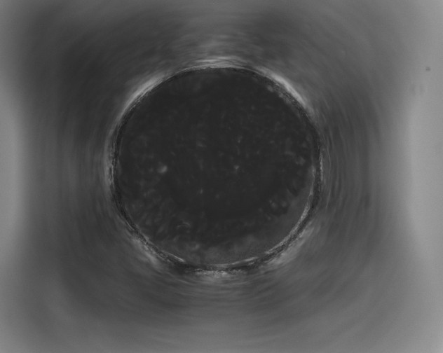 X0000114191405200910161155