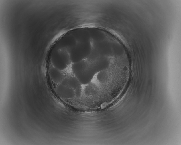 X0000114191406200910161155