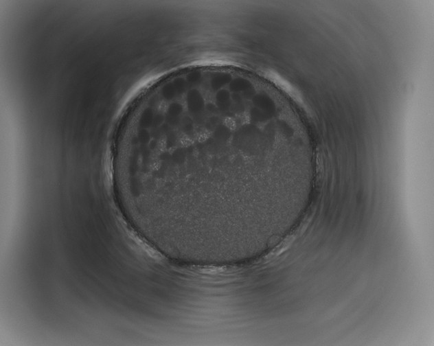 X0000114191408200910161155