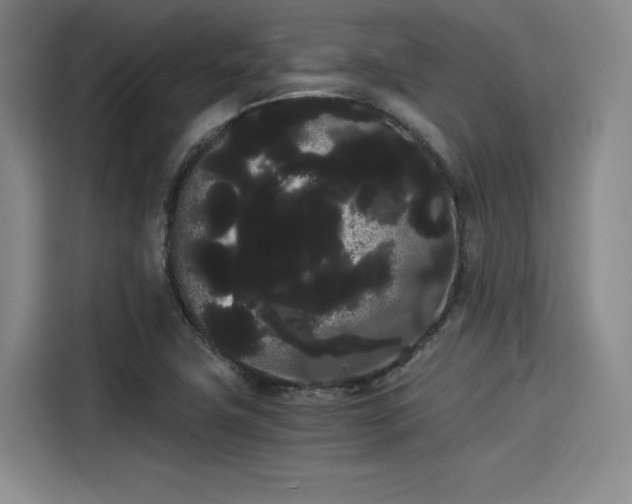 X0000114191411200910161155