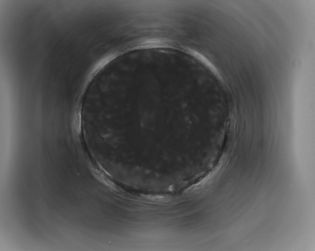 X0000114191413200910161155