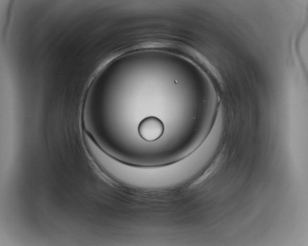 X0000114191417200910161155
