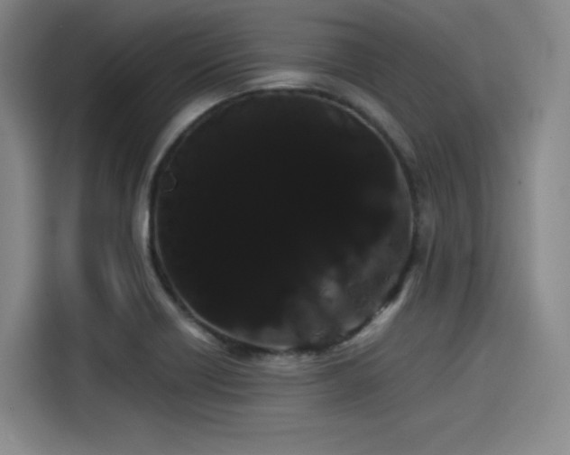 X0000114191418200910161155