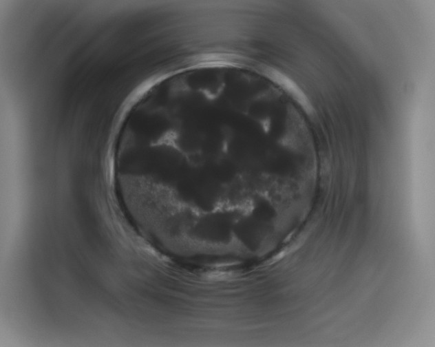 X0000114191419200910161155