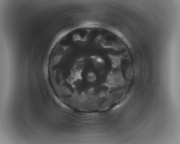 X0000114191421200910161155