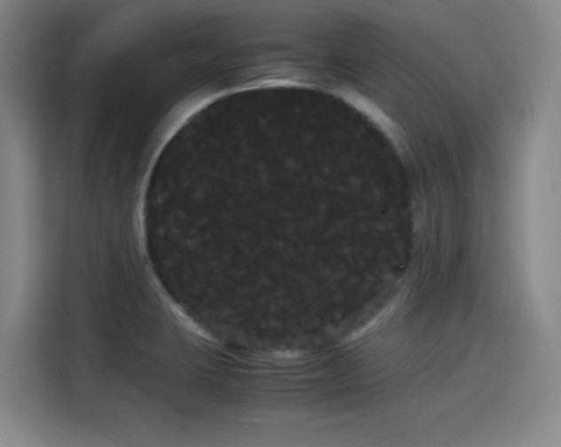 X0000114191423200910161155