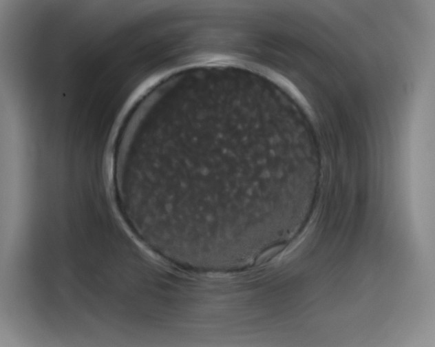 X0000114191424200910161155