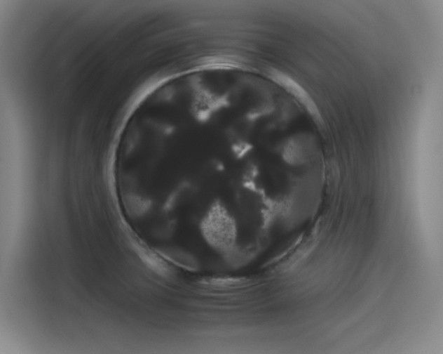 X0000114191427200910161155